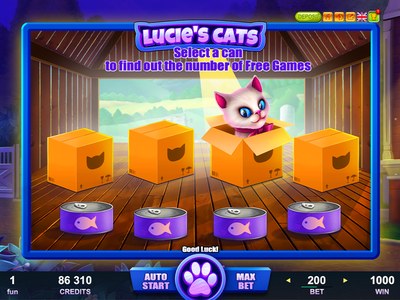 Lucie's cats